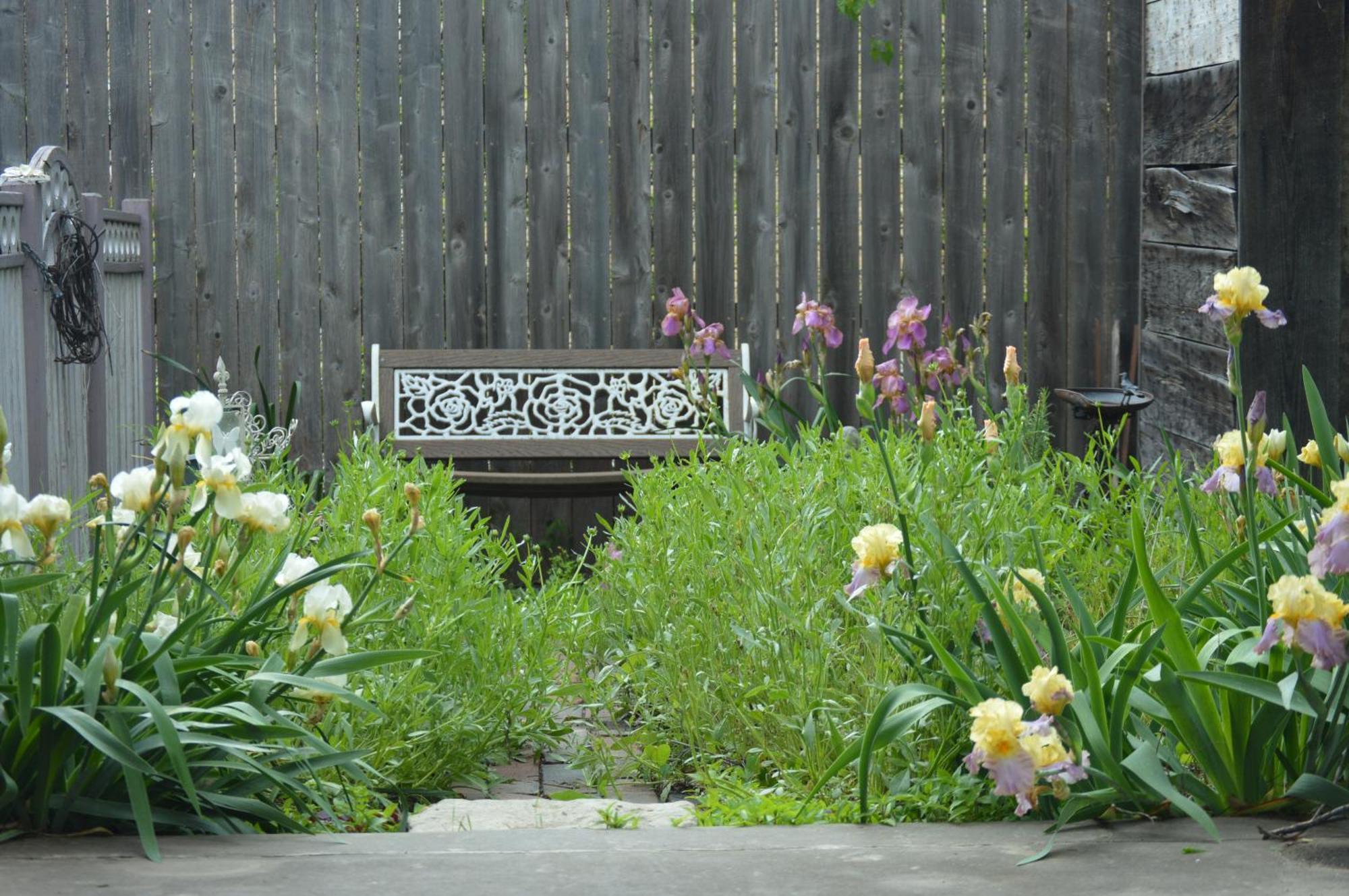 Carleton House Bed And Breakfast Bonham 外观 照片