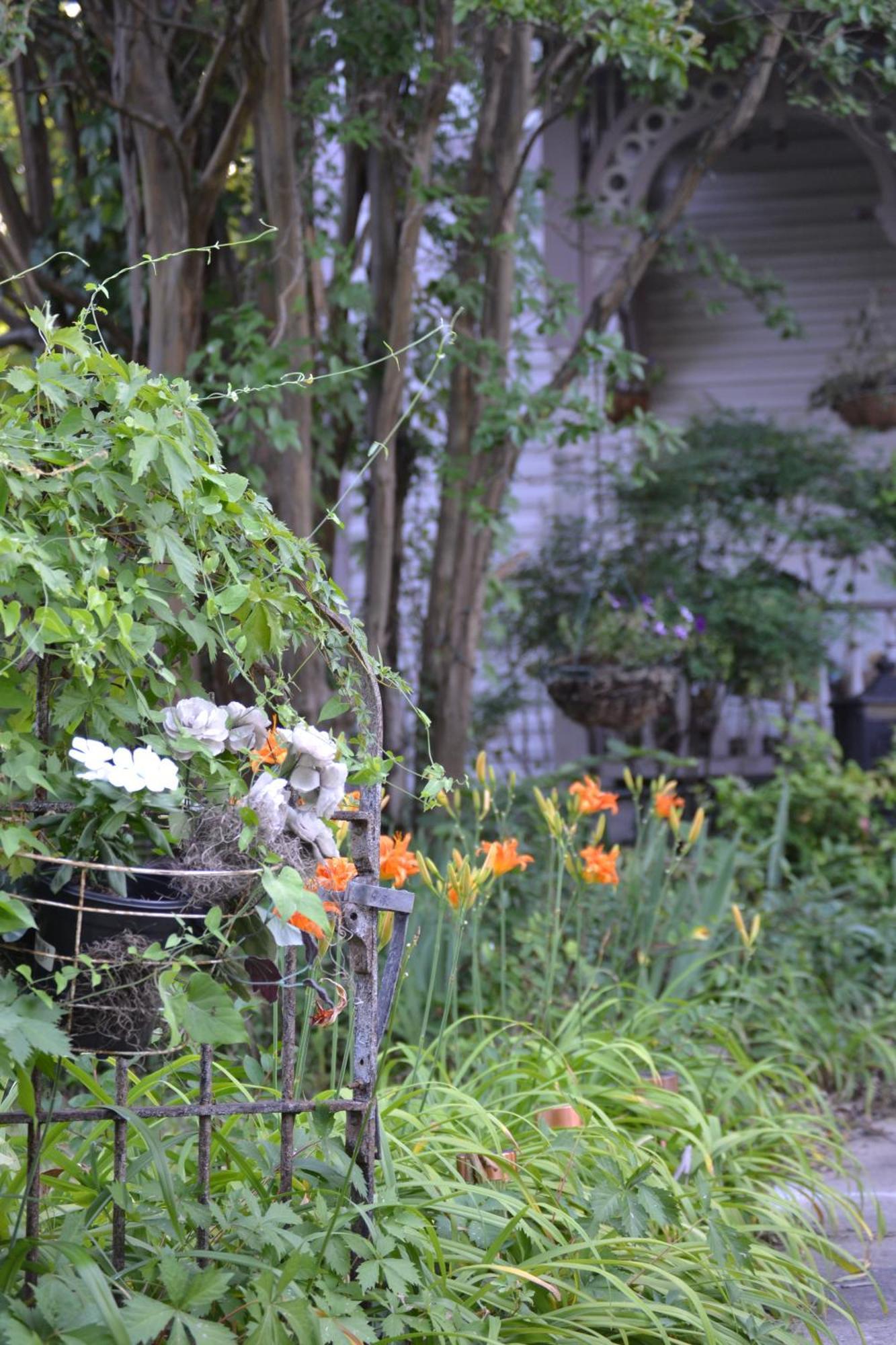 Carleton House Bed And Breakfast Bonham 外观 照片